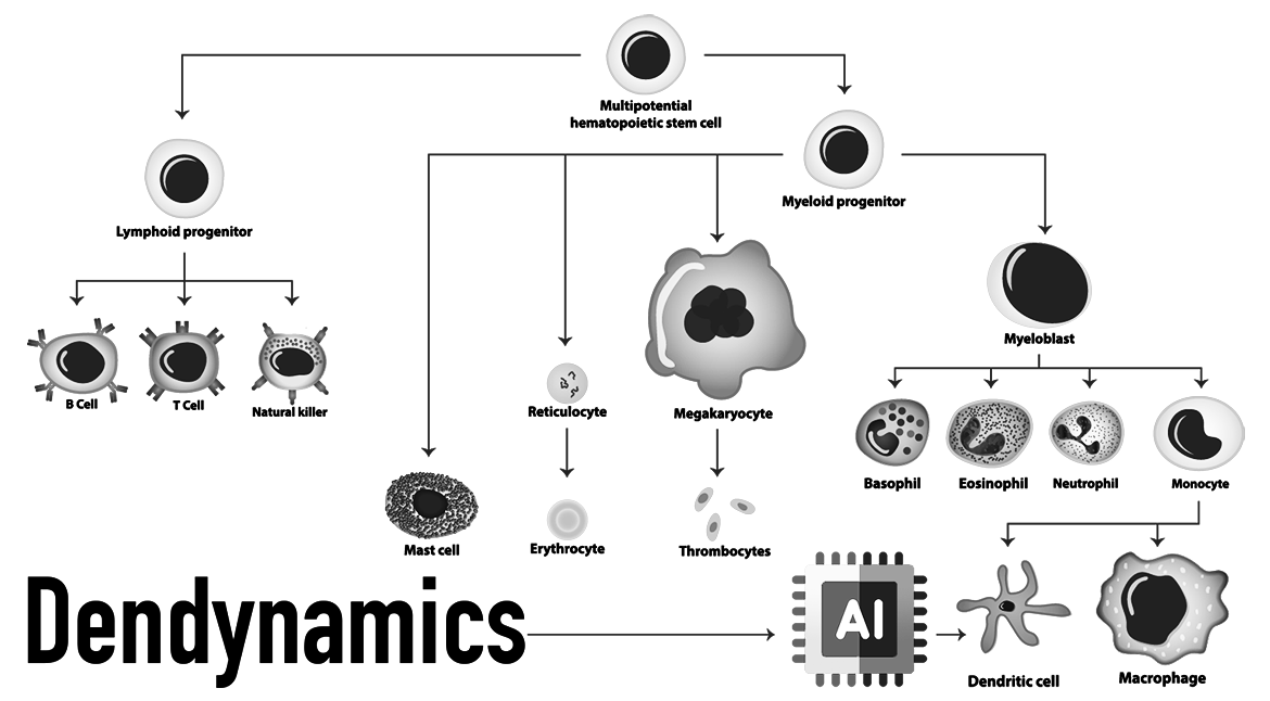 Dendynamics: Innovations at the Intersection of Biology and Artificial Intelligence  Dendynamics is an ambitious company that merges cutting-edge technology and science to achieve breakthrough solutions in medicine. Founded with the goal of transforming treatment and diagnostic methods, Dendynamics focuses on researching dendritic cells and their role in the immune system, harnessing the power of artificial intelligence to analyze data and develop personalized approaches in medicine.  The company aims to enhance the capabilities of modern science and implement innovative technologies capable of changing the treatment of diseases. The synthesis of biological sciences and machine learning allows Dendynamics to create unique therapeutic strategies, offering more precise and effective methods for diagnosis and treatment.  Dendynamics is not just creating technologies; it is shaping the future of medicine, centered on the health and quality of life of every individual.